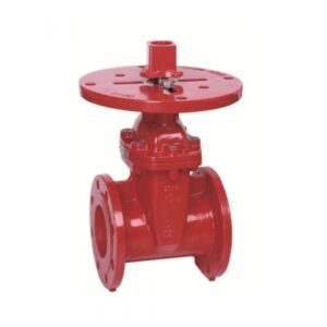 BS Flanged Resilient NRS Gate Valve Z45XC-2