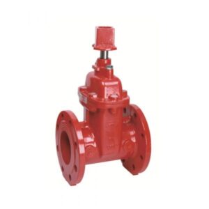 BS Flanged Resilient NRS Gate Valve Z45XC