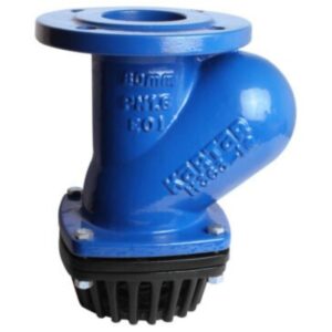 Ball Type Foot Valve