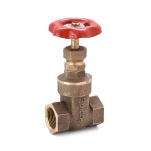 Bronze Gate Valve-IS-1