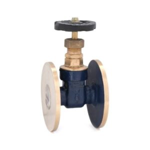 Bronze Gate Valve-IS-2