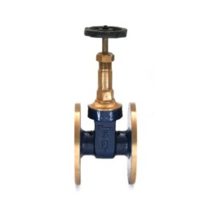 Bronze Gate Valve-IS-4