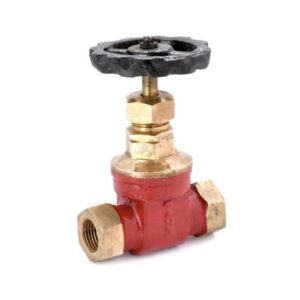 Bronze Gate Valve-IS-5