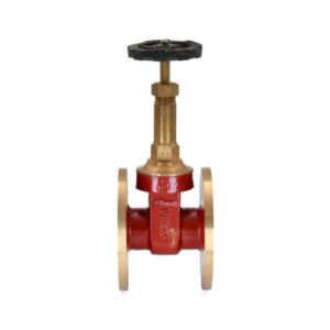 Bronze Gate Valve-IS-6