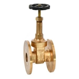 Bronze Gate Valve-IS-6A