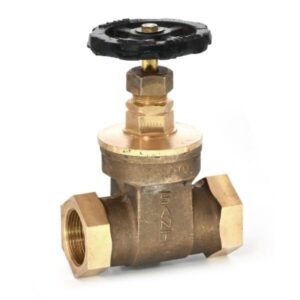 Bronze Gate Valve-IS-7