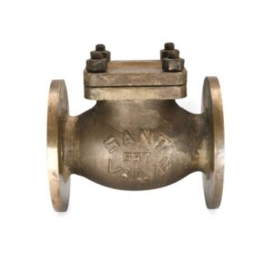 Bronze Horizontal Lift Check Valve-IBR-3B