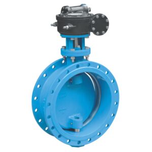 Butterfly Valve Double Flanged eccentric disk