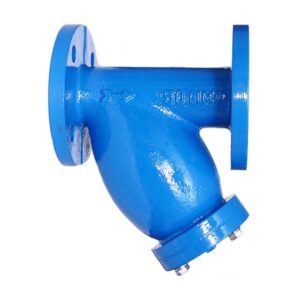 CI Y type Strainer