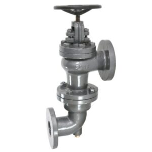 Cast Iron Accessible Feed Check Valve-CI-5B