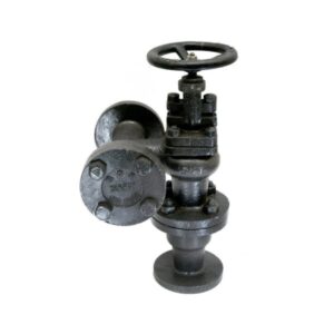 Cast Iron Accessible Feed Check Valve – CI-5C