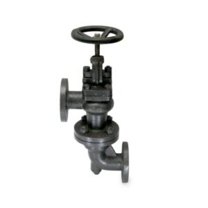 Cast Iron Accessible Feed Check Valve -CI-5D