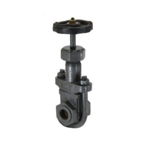 Cast Iron Gate Valve – CI-14