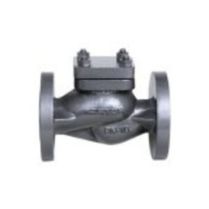 Cast Iron Horizontal Lift Check (non return) valve