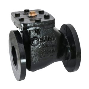 Cast Iron Reflux Valve (Swing Check Type)-CR-31
