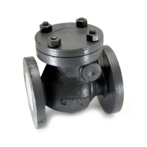Cast Iron Swing Check Valve-CI-3C