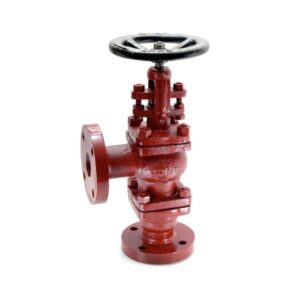 Cast Steel Accessible Feed Check Valve -CS-5