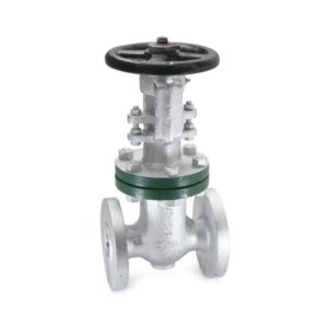 Cast Steel Gate Valve-CS-7A