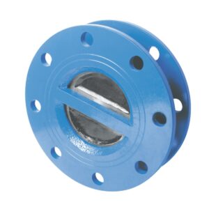 Check Valve Dual Plate
