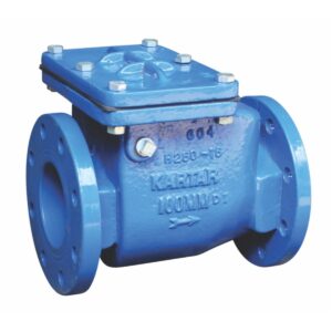 DI Non Return Valve