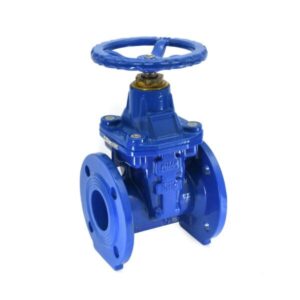 DI Resilient Seated Gate Valve-RSV