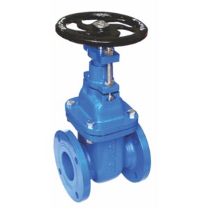 DI Sluice Valve