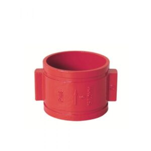 Double Door Grooved Check Valve-DH87X