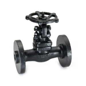 Forged Steel Gate Valve-FSV-11