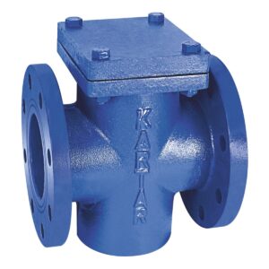 T- Type Strainer