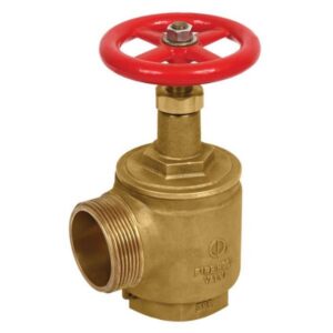 Landing Valves: Angle Hose Valve