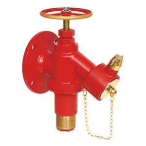 Landing Valves: Controlled Pressure Hydrant Valve