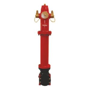 Stand-Post Hydrant: Dry Barrel Hydrant (FM Approved)