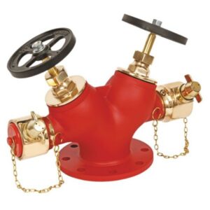 Landing Valves: Double Outlet Type Landing Valve – ISI Marked