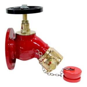 Gate Valve